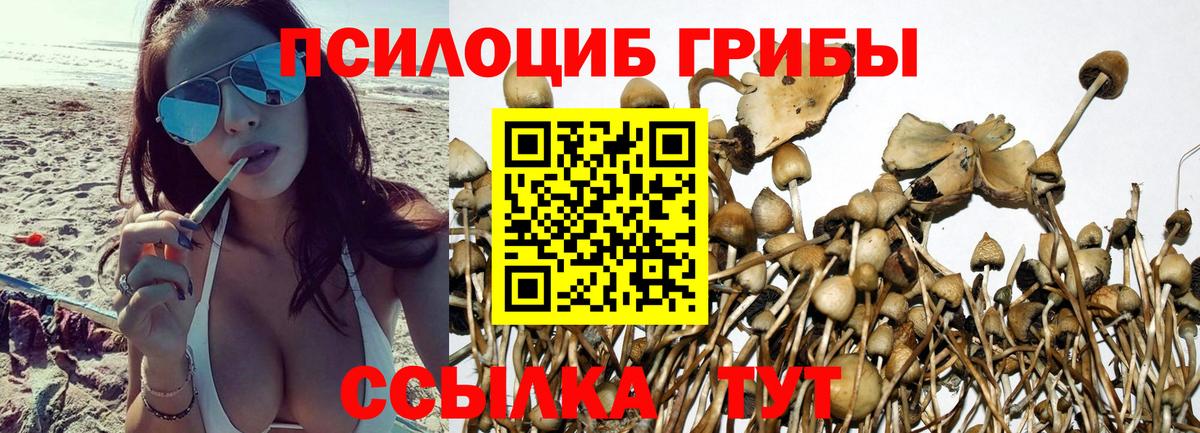 Псилоцибиновые грибы Psilocybine cubensis  Псилоцибиновые грибы Magic Shrooms  где можно купить   Вход с VPN  Усть-Илимск 